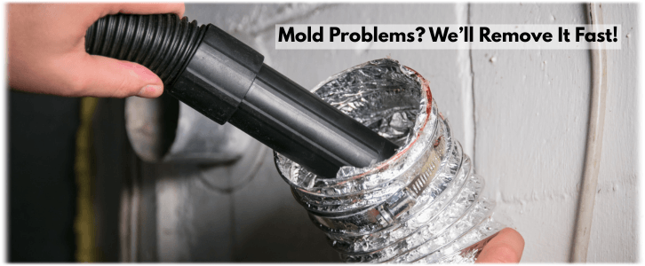 Air Duct Mold Removal in The Woodlands TX