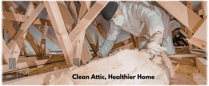 Attic Cleaning The Woodlands TX