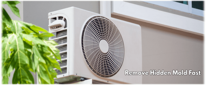 HVAC Mold Removal The Woodlands TX